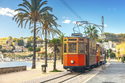 Blühendes Mallorca für Alleinreisende / mix